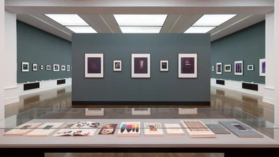 Polaroids: Umfangreiche Ausstellung