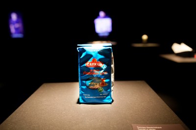 Die Freiheit der Kreativität