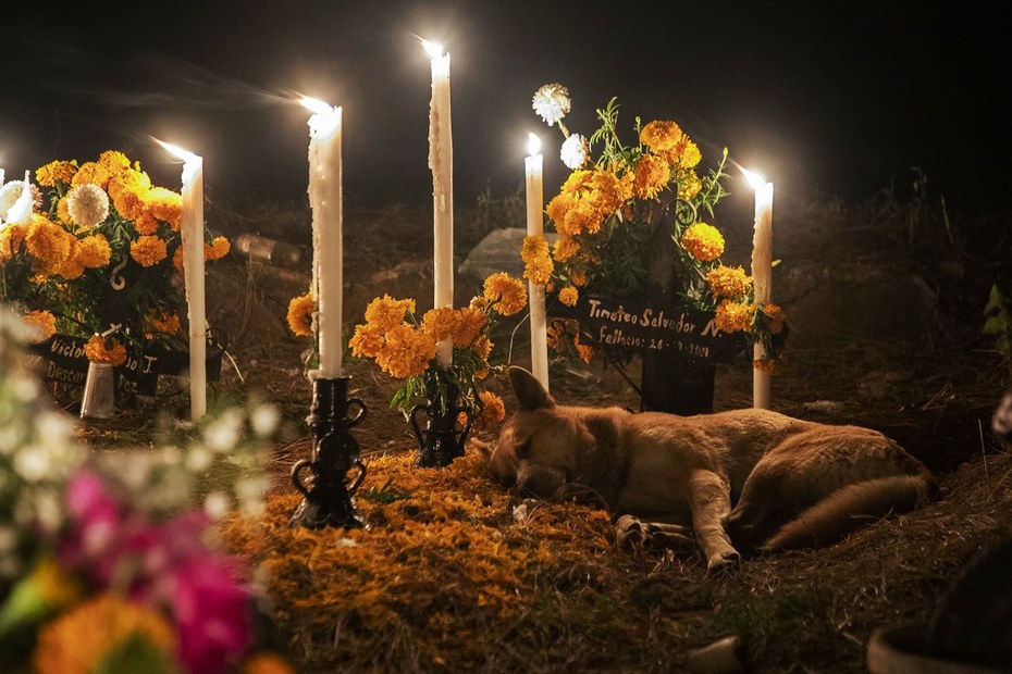Alles ist erleuchtet: Jährliche Feier auf einem Friedhof in Mexiko