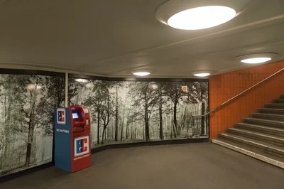 Wo geht's zur nachhaltigen Stadt?