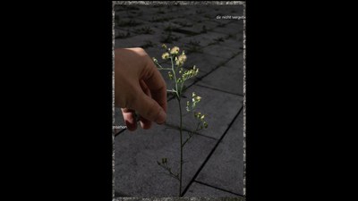 Kunstvermittlung im Dialog
