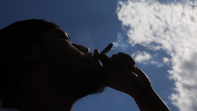 Cannabis: Pflanze mit vielen Facetten