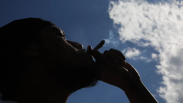 Cannabis: Pflanze mit vielen Facetten