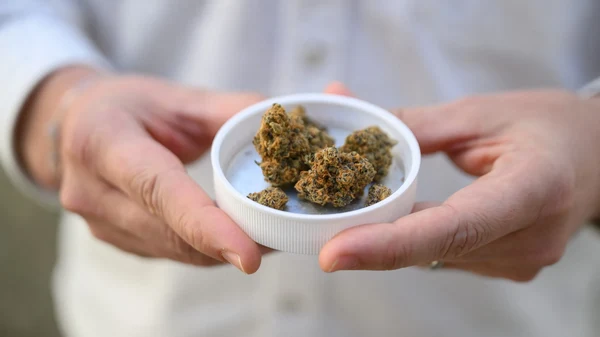 Was wir über Cannabis wissen sollten