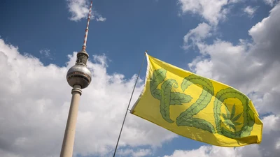 Wirkung, Kultur und Geschichte von Cannabis