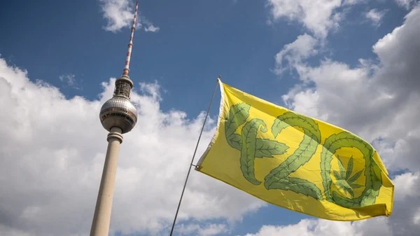 Wirkung, Kultur und Geschichte von Cannabis
