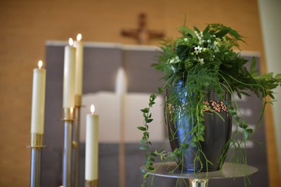 Stimme der Gesellschaft