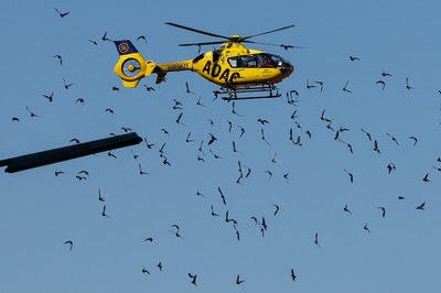 Kämpfer gegen Konzernverbrechen