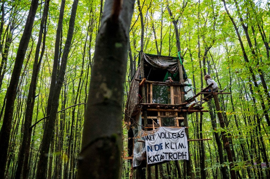 Umweltaktivist:innen kämpfen im Dannenröder Forst gegen den Ausbau der A94, für den knapp 85 Hektar Waldfläche gerodet werden sollen.