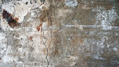 Herkunft, Verlust und eine Suche