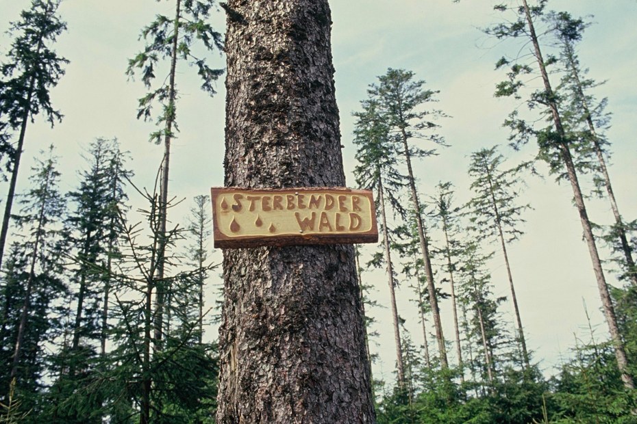 „Sterbender Wald“: Ein Schild von Walter Trefz, das keinen Zweifel lässt