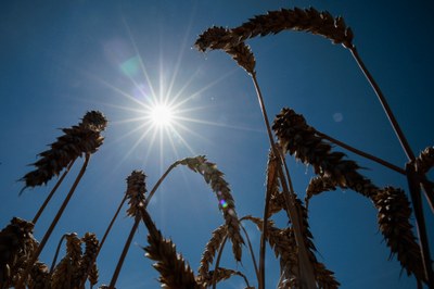 Im Test: Wasserstoff zur Energieversorgung