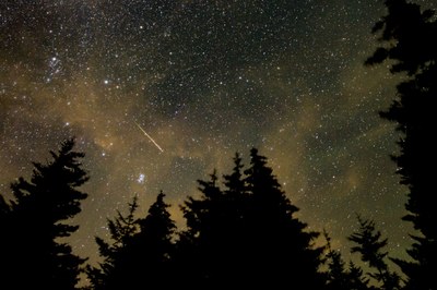 Unterhaltsam, klug und überaus originell