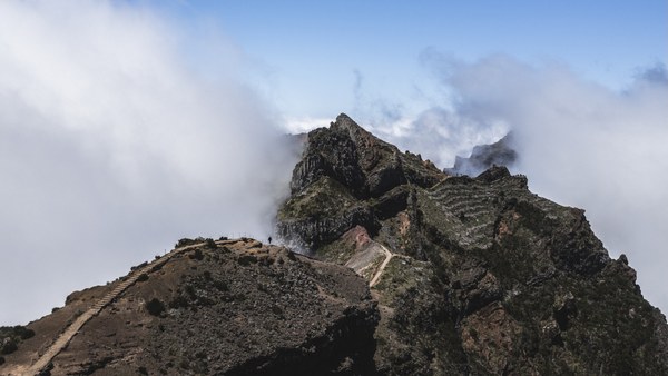 Leseprobe: „Jetzt sind Sie gefragt“