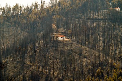 Klimaschutz geht jede*n an