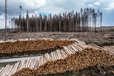 Klimaschutz: Ein Menschenrecht