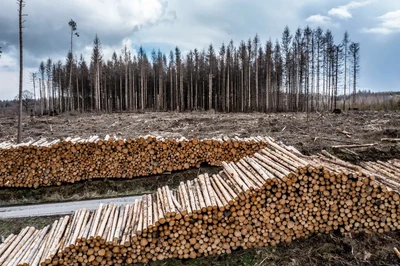 Klimaschutz: Ein Menschenrecht