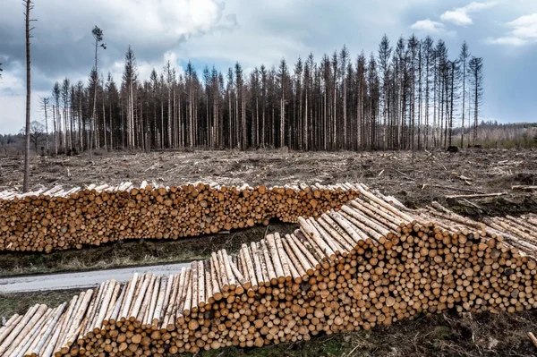 Klimaschutz: Ein Menschenrecht