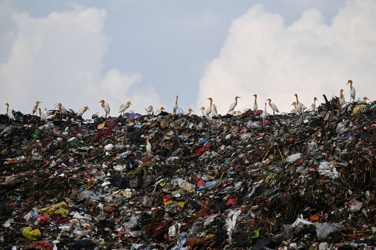 Müll – Eine schmutzige Geschichte der Menschheit