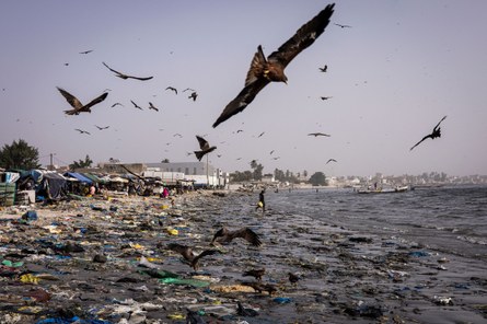 „Unser aller Abfall“: Geschichte des Mülls