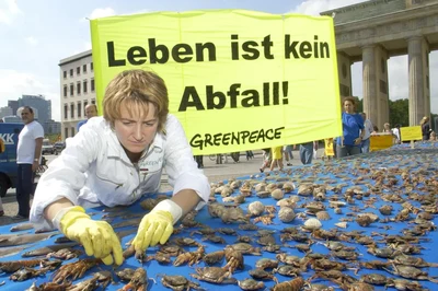 Kämpfer:innen für die Umwelt