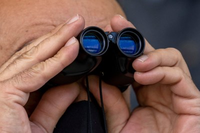 Das Jetzt im Blick