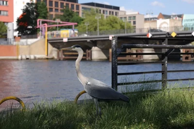Mehr Lebensraum für Mensch und Natur
