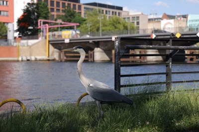 Mehr Lebensraum für Mensch und Natur