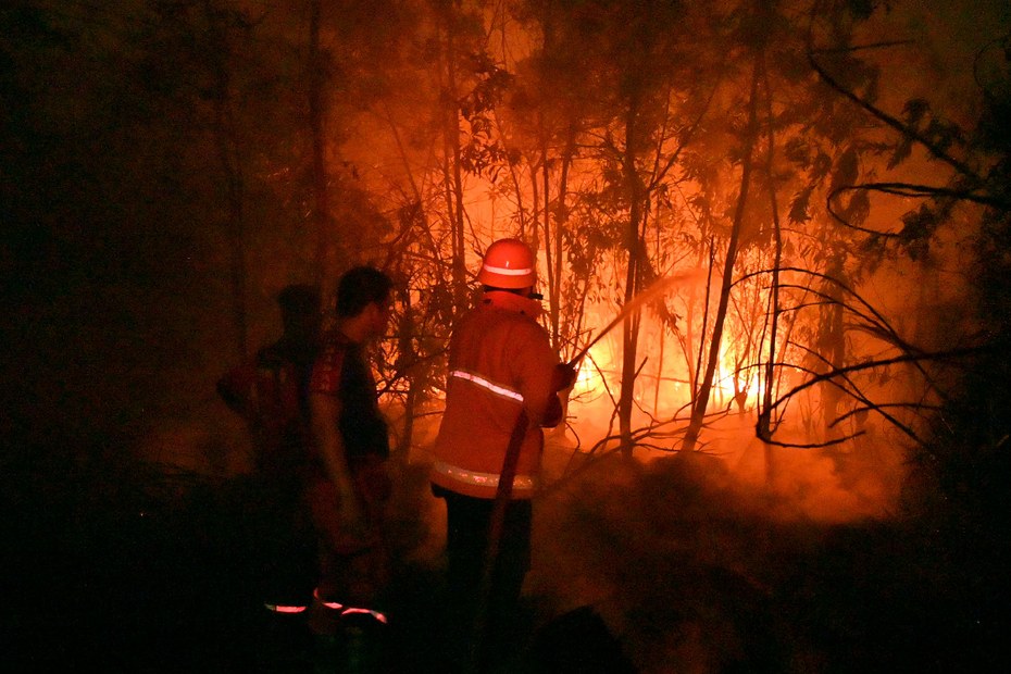 Waldbrand in Pekanbaru, Indonesien.