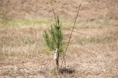 Neue Perspektiven auf den Klimawandel