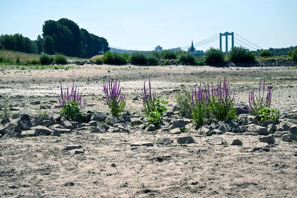 Es wird knapp: Mit Vollgas in die Klimakrise?