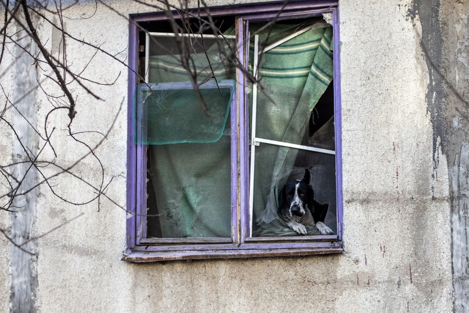 Wohin man blickt, nur Zerstörung: Ein Wohnhaus in Bakhmut