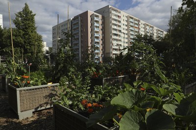 Zukunft bauen