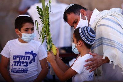 Lulav, Etrog, Hadassim und Arawot