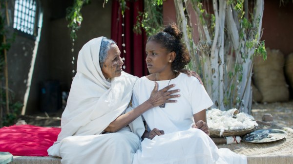 Zukunftsträume zwischen Baumwollfeldern