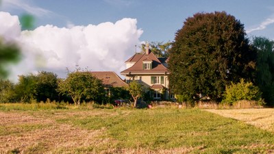 Rezensionen