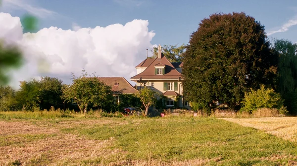 Rezensionen