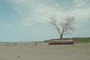 Stille Dokumentation des Irrsinns