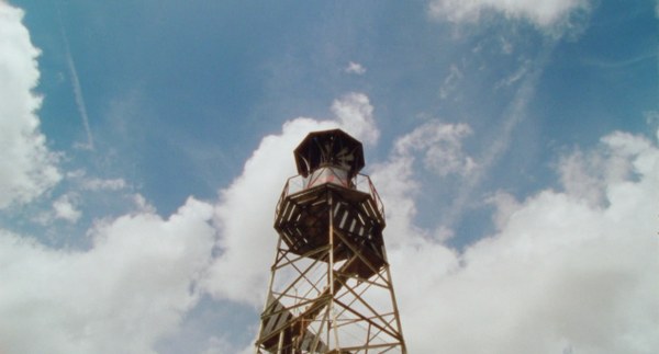 Warum DIRECT ACTION die Kritik begeistert