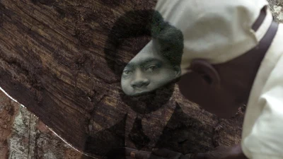 Spannende Perspektiven auf den Dokumentarfilm