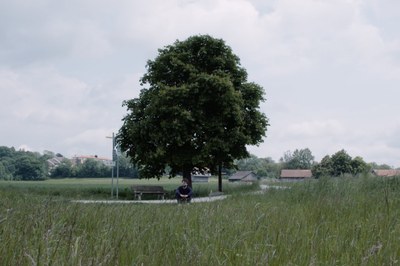 Ausgezeichnetes Debüt