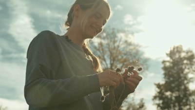Über das Verhältnis von Mensch und Insekten