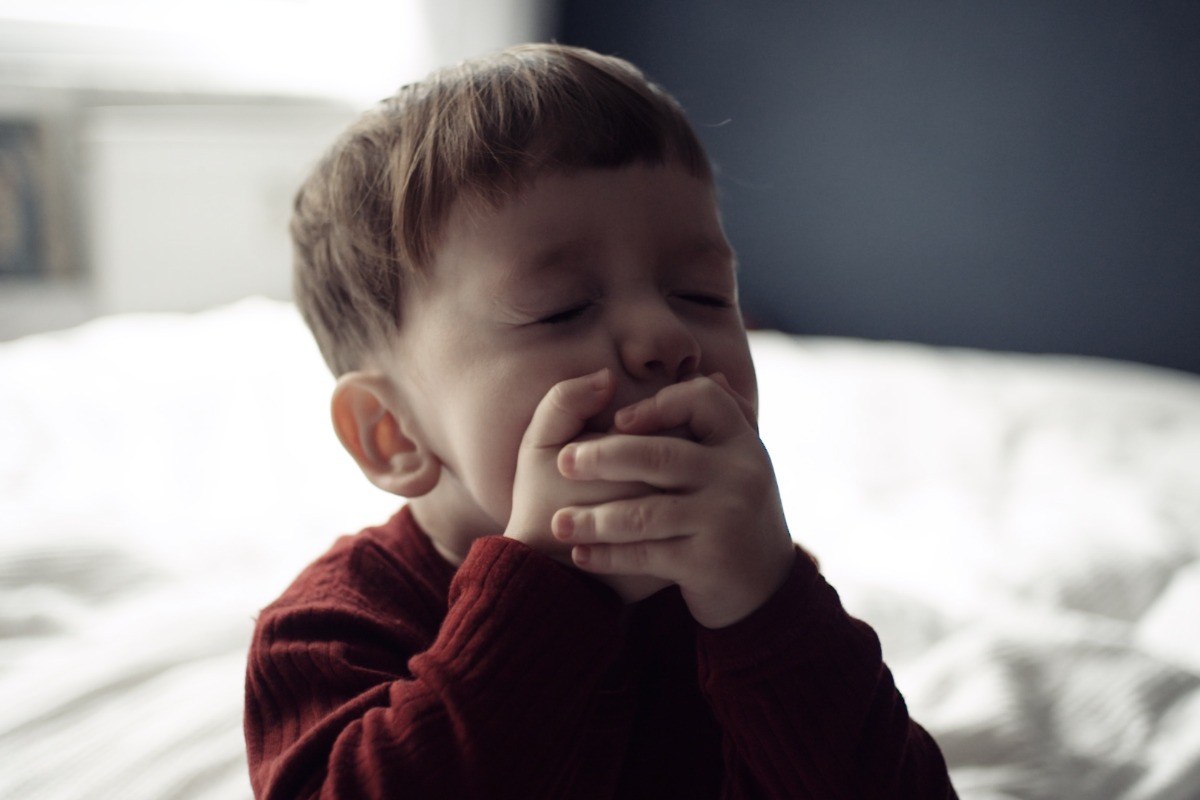 Film Liebe, Wut & Milchzähne — der Freitag