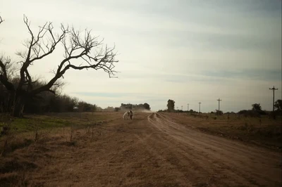 Trenque Lauquen: Ein bisschen David Lynch
