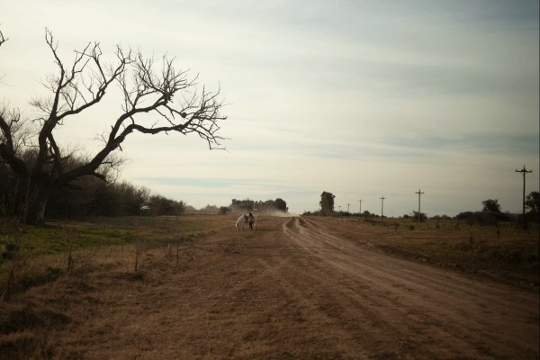 Trenque Lauquen: Ein bisschen David Lynch Trenque Lauquen: Ein bisschen David Lynch